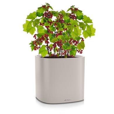 PILA Color Planter sand brown